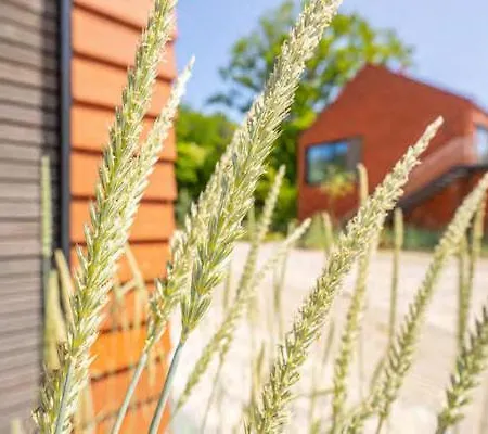 De Ole School Ferienapartments Loft-apartment 23 , Huus Walden *